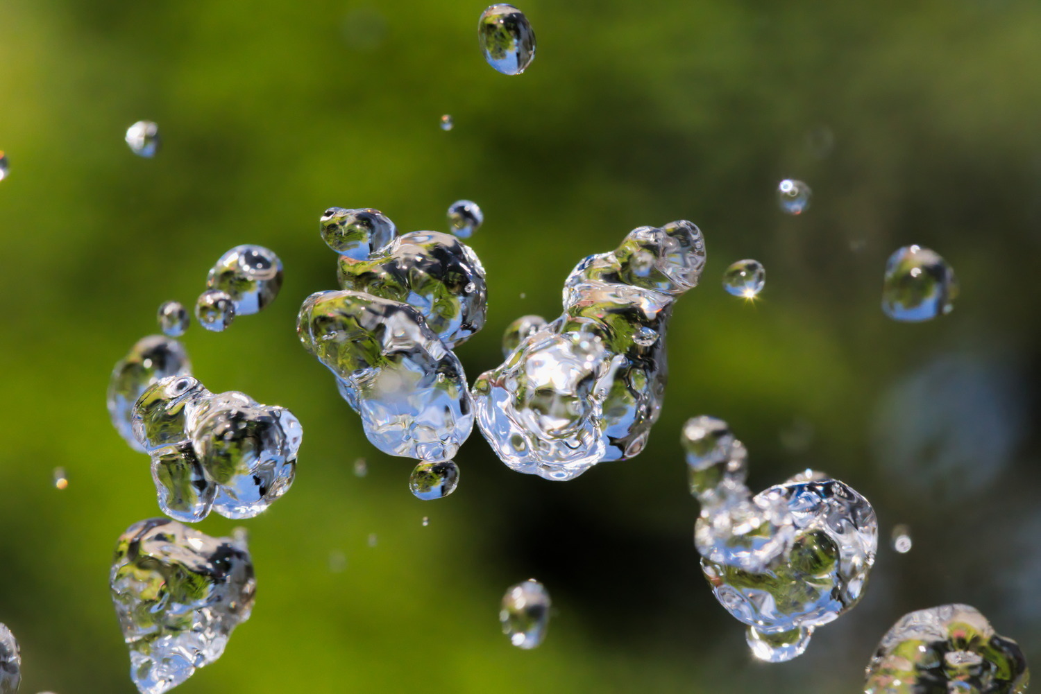 Experimentell Gewinner von 2025